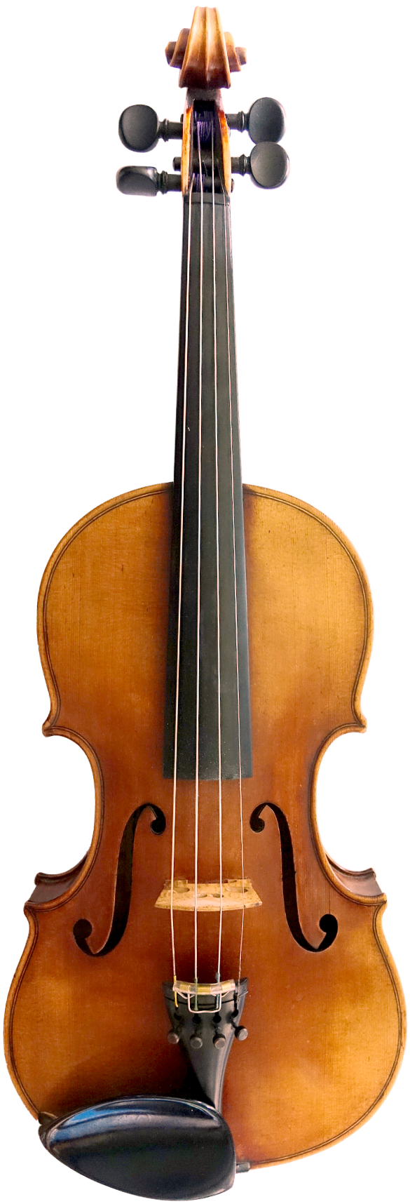 Violine 